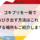 ゴキブリを一発でおびき出す方法はこれ！逃げる場所もご紹介します！
